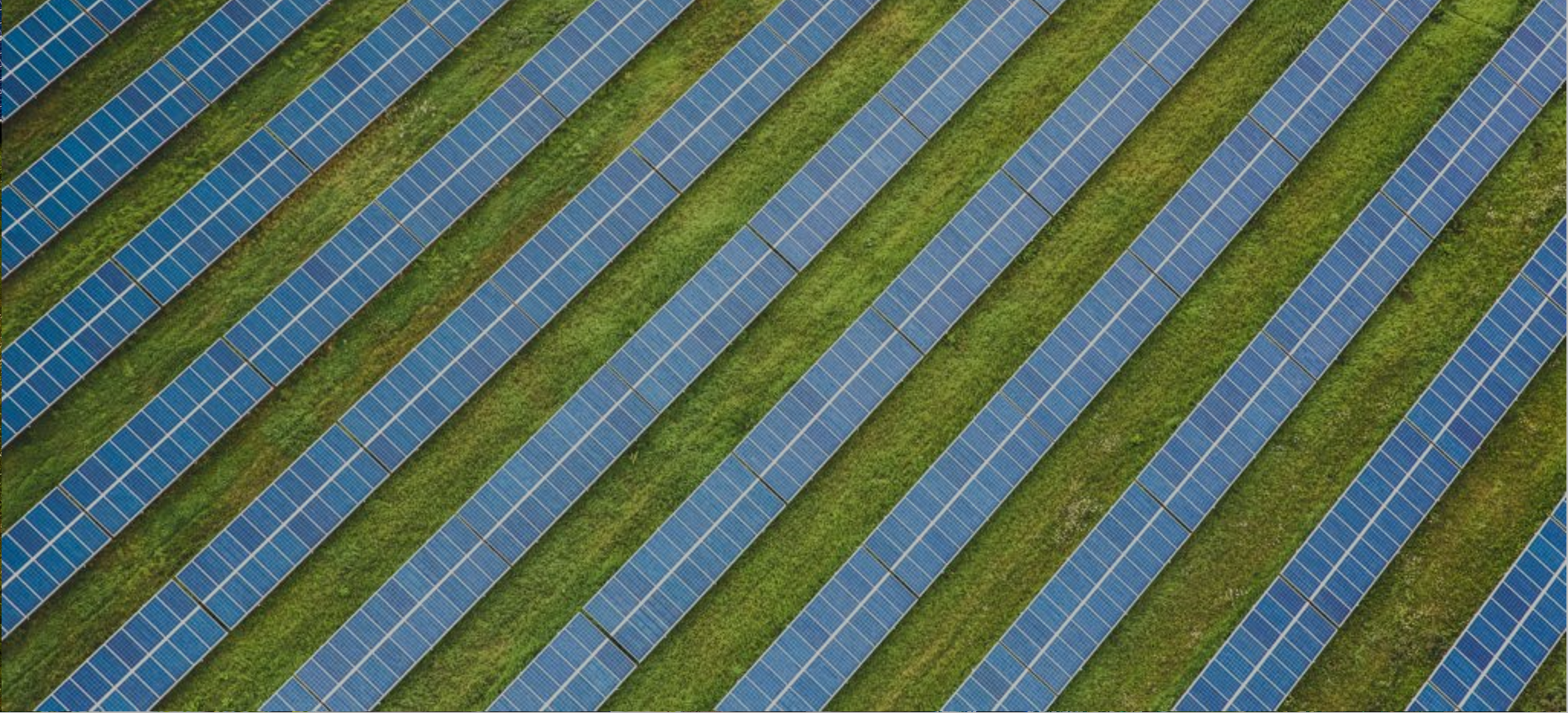 Is the transition to renewable energy over or on hold?