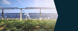 solar and bess projects in italy