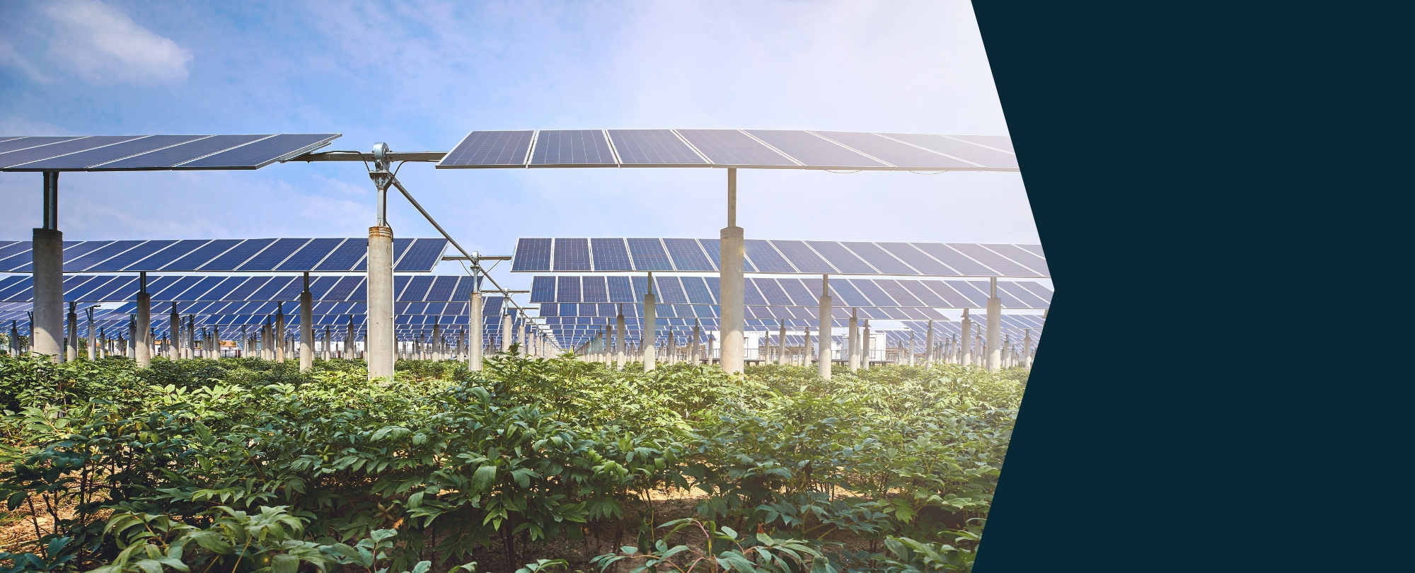 Solar and BESS projects in Italy reach ready-to-build amidst strong demand