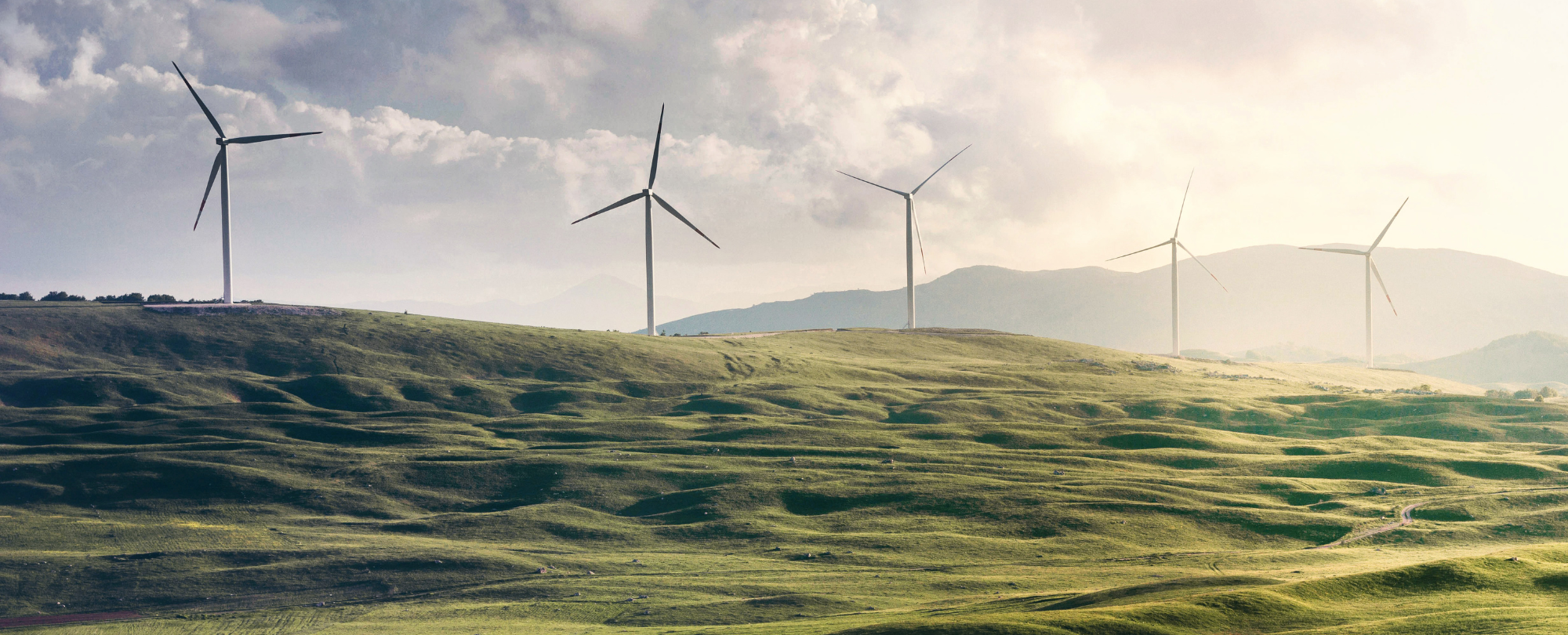 Behind the scenes: What does scaling a renewable energy development portfolio look like on the people side